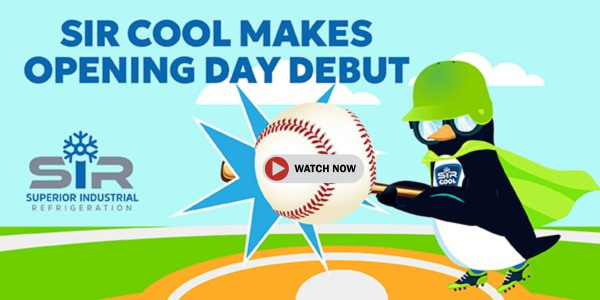 SIR Cool Debut Newsletter