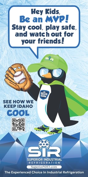 SIR-Boise-Hawks-Kids-Zone-Poster